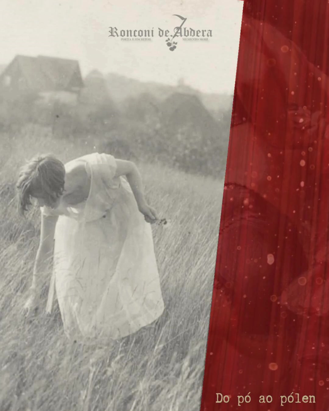 Projeto conceitual em vídeo